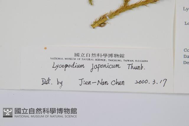 石松藏品圖，第2張