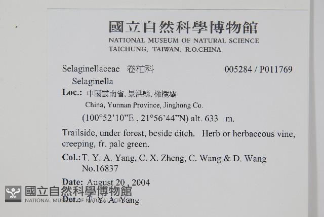 登錄號:P011769藏品圖，第2張