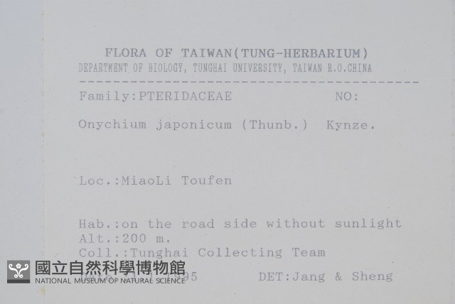 日本金粉蕨藏品圖，第2張