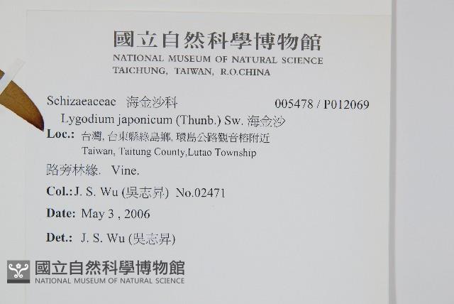 海金沙藏品圖，第2張