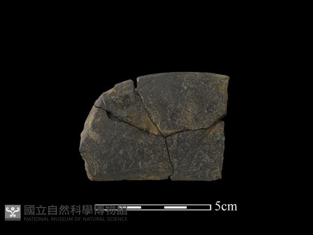 石刀藏品圖，第1張