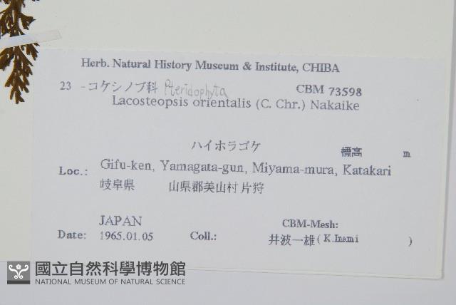 登錄號:P011069藏品圖，第2張