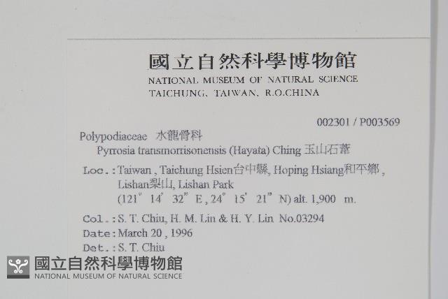 玉山石葦藏品圖，第2張