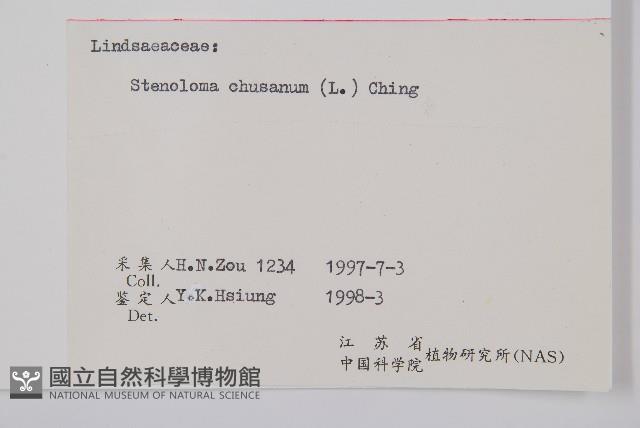 烏蕨藏品圖，第2張