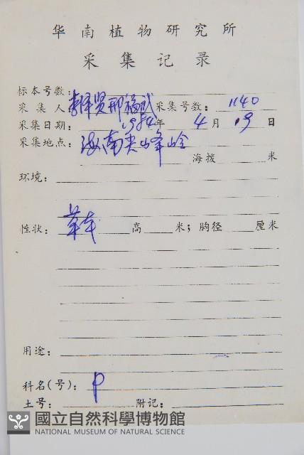 細柄雙蓋蕨藏品圖，第2張