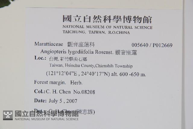 觀音座蓮藏品圖，第2張