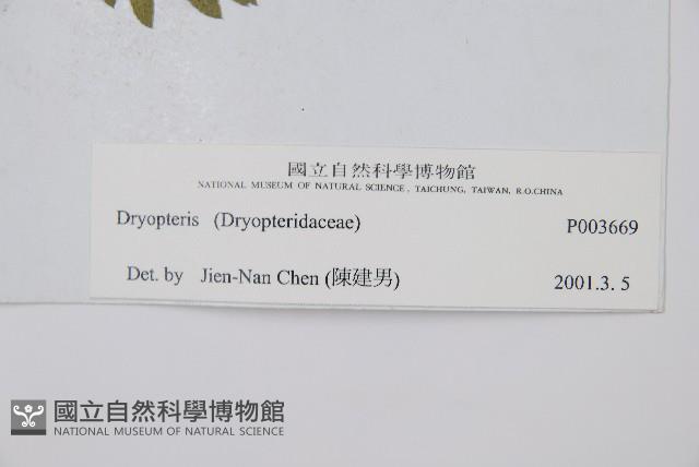 登錄號:P003669藏品圖，第2張