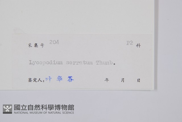 千層塔藏品圖，第2張