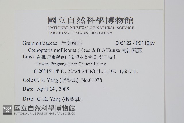 登錄號:P011269藏品圖，第2張