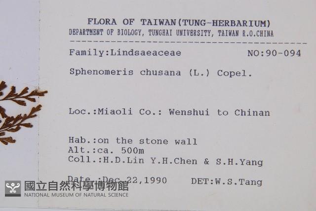 烏蕨藏品圖，第2張