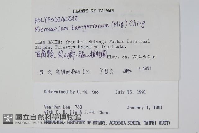 Accession Number:P002949 Collection Image, Figure 2, Total 2 Figures