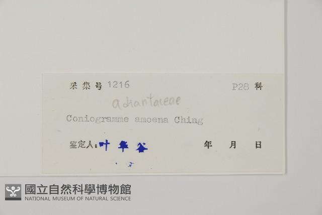 登錄號:P004949藏品圖，第2張