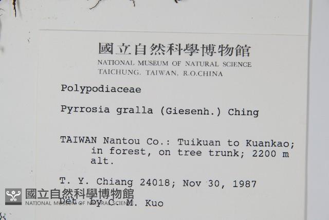 Accession Number:P000749 Collection Image, Figure 2, Total 2 Figures