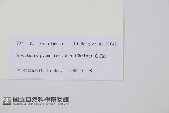 登錄號:P010749藏品圖，第2張