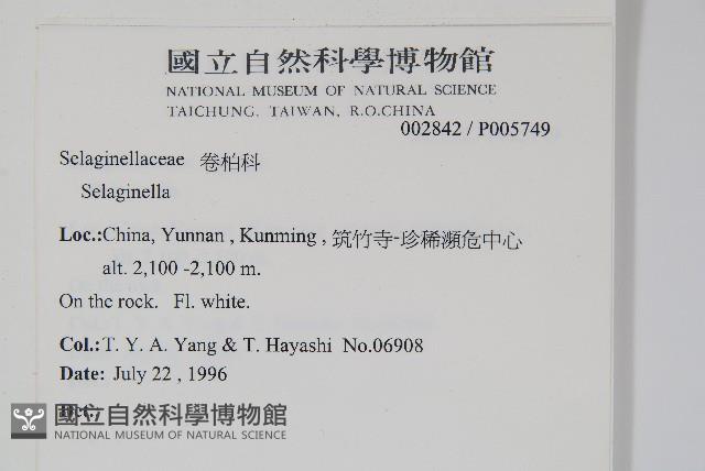 登錄號:P005749藏品圖，第2張