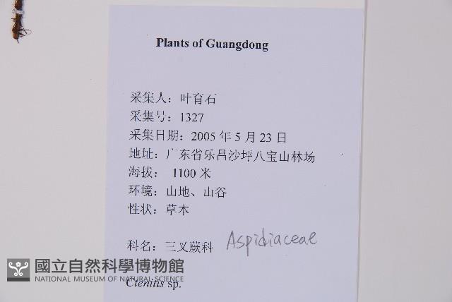 登錄號:P012549藏品圖，第2張