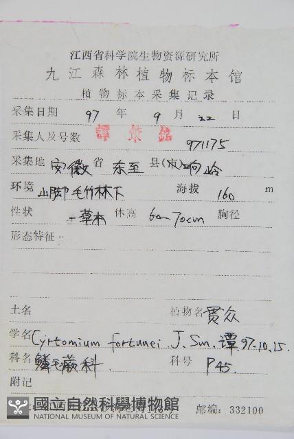 貫眾蕨藏品圖，第2張