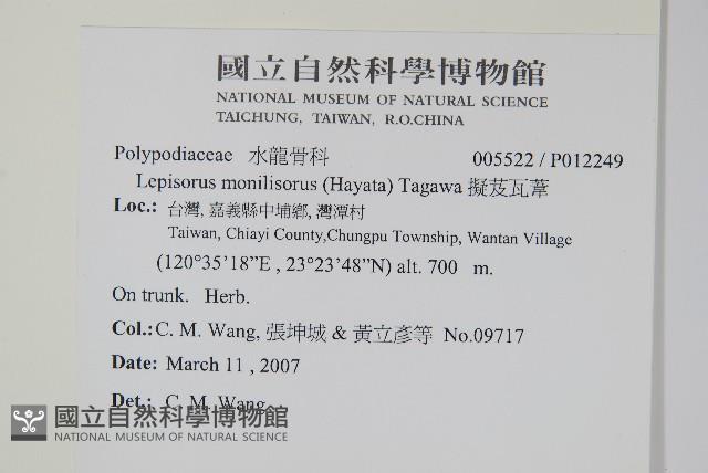 擬芨瓦葦藏品圖，第2張