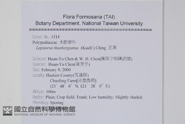 瓦葦藏品圖，第2張