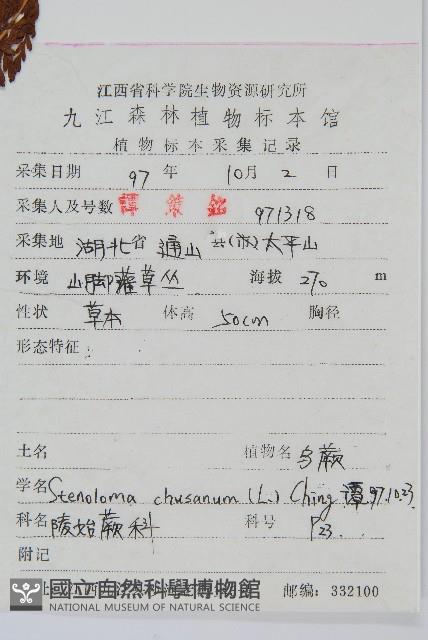 烏蕨藏品圖，第2張