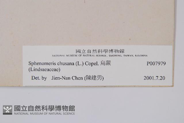 烏蕨藏品圖，第2張