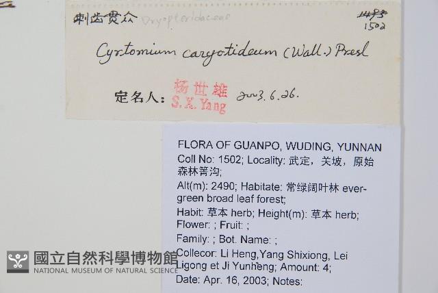 Accession Number:P010179 Collection Image, Figure 2, Total 5 Figures