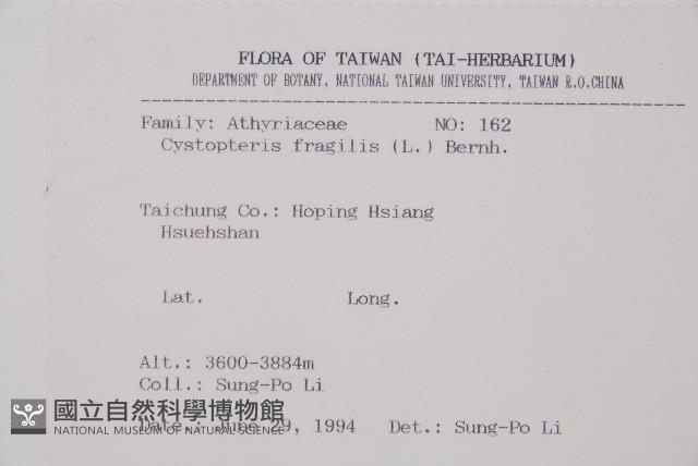 冷蕨藏品圖，第2張