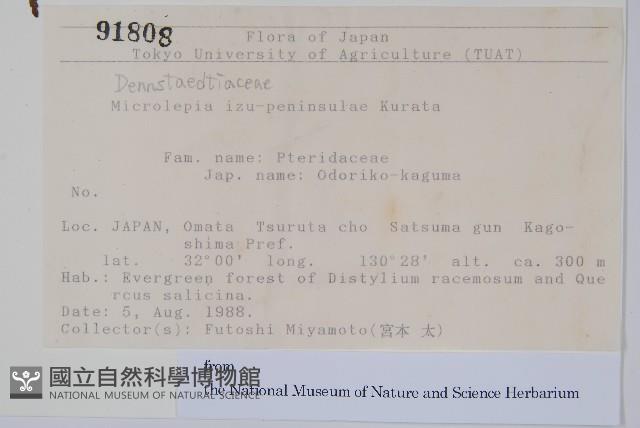 登錄號:P012779藏品圖，第2張