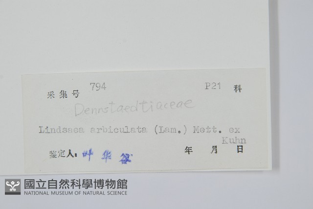 登錄號:P004779藏品圖，第2張