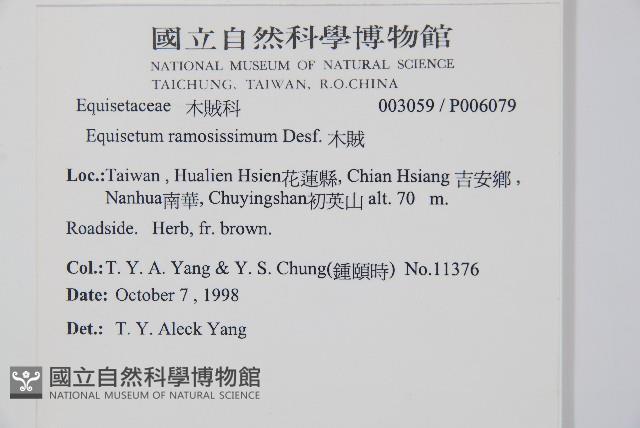 木賊藏品圖，第2張