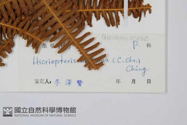 登錄號:P004379藏品圖，第2張