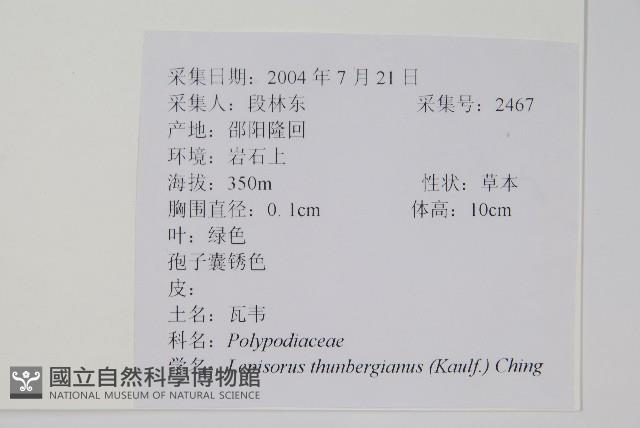 瓦葦藏品圖，第2張