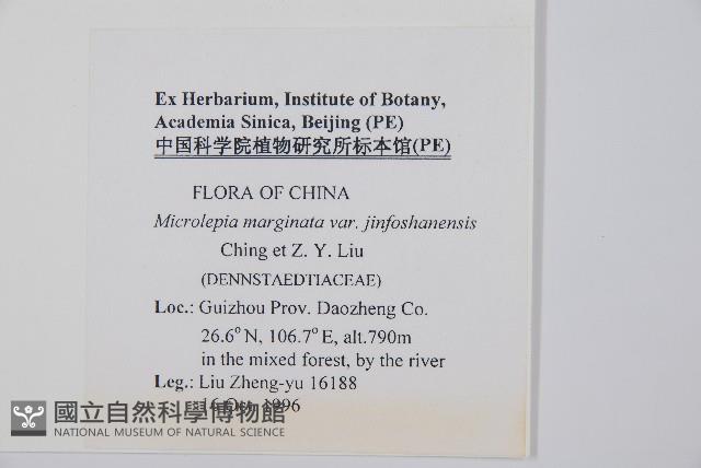 登錄號:P005679藏品圖，第2張