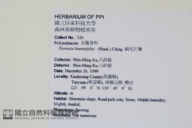 絨毛石葦藏品圖，第2張