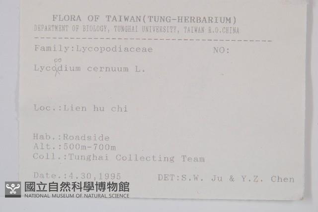 過山龍藏品圖，第2張