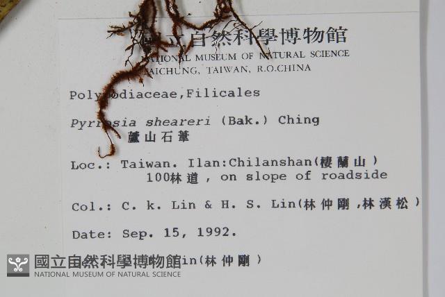 盧山石葦藏品圖，第2張