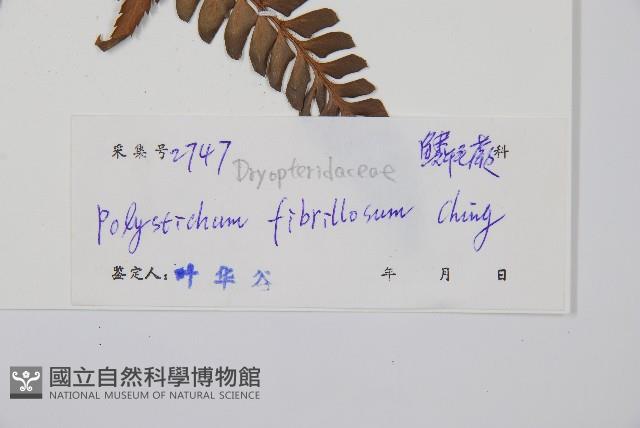 登錄號:P005089藏品圖，第2張