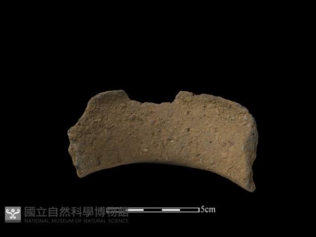 陶片藏品圖，第2張