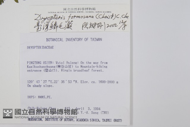 臺灣鱗毛蕨藏品圖，第2張