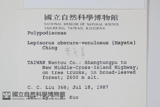 粵瓦葦藏品圖，第2張