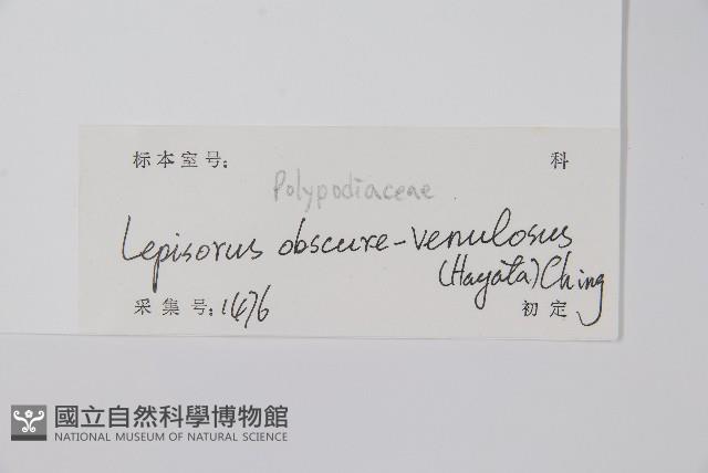 粵瓦葦藏品圖，第2張