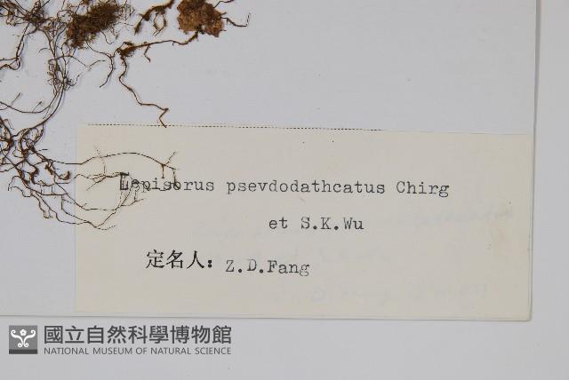 登錄號:P003889藏品圖，第2張