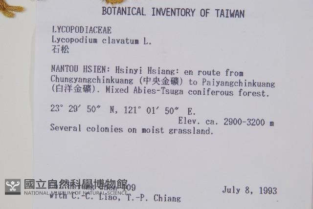 石松藏品圖，第2張