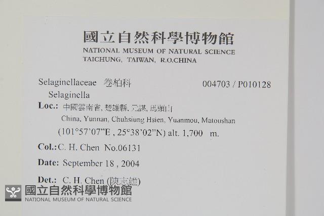 登錄號:P010128藏品圖，第2張