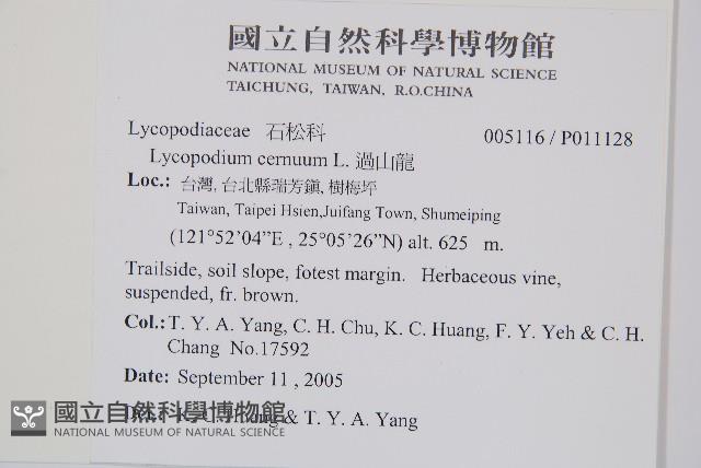 過山龍藏品圖，第2張