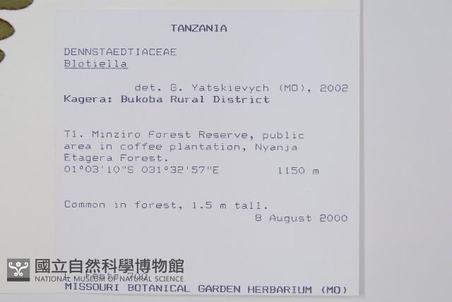 登錄號:P010028藏品圖，第2張