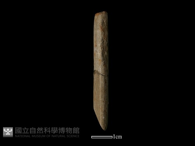 錛鑿形器藏品圖，第3張