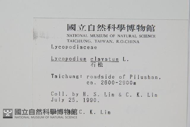 石松藏品圖，第2張