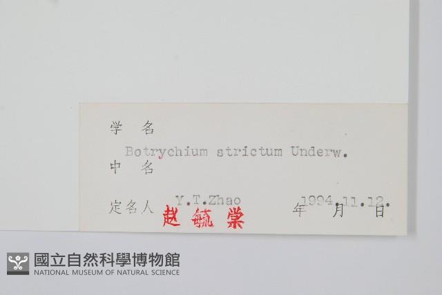 登錄號:P004028藏品圖，第2張