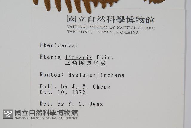 Accession Number:P001528 Collection Image, Figure 2, Total 2 Figures